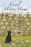 Cecil Moves Home: A comic tale of a cat and a spider