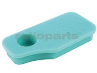 Filter lucht pass.f.b & s 270843