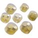 LAPP 53629556 SKINTOP DIX 29556 Meervoudig dicht-inzetstuk PG29 5 x 5.6 mm Silicone Natuur 50 stuk(s)