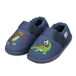 GIESSWEIN Kinder Pantoffels Jongens Axams - Antislip pantoffels met dino's