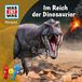 WAS Tessloff Verlag Ragnar Tessloff GmbH & Co. KG WAS IST WAS Hörspiel. Im Reich der Dinosaurier