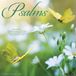 Willow Creek Press Psalms 2027 12 X 12 Wall Calendar