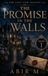 THE Independently Published THE PROMISE IN THE WALLS Paperback