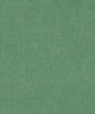 Dutch Tahiti Kapia groen 13313