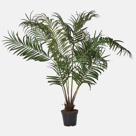 Loberon Decoratieve palmplant Mersina groen
