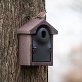 C J Wildlife CJ Wildbird Foods Europe Nestkast Bilbao - Woodstone ovale invliegopening