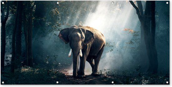 GreatGardenPosters Wanddecoratie buiten Olifant - 160x80 cm - Tuindoek - Buitenposter