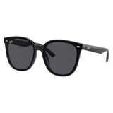 Ray-Ban zonnebril 0RB4423D zwart