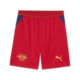 PUMA RB Leipzig 26/27 short voor Heren, Blauw/Rood, Maat L
