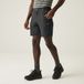 Regatta Heren Leesville III Wandelshorts Waterafstotend Wandelen en Hiken