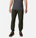 Columbia Steens Mountain™ Joggers Groen 2XL / Regular Man