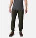 Columbia Steens Mountain™ Joggers Groen 2XL / Regular Man