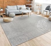 Paco Home Vloerkleed Woonkamer Effen Eenvoudig En Modern Laagpolig, 60x100 cm, Zilver