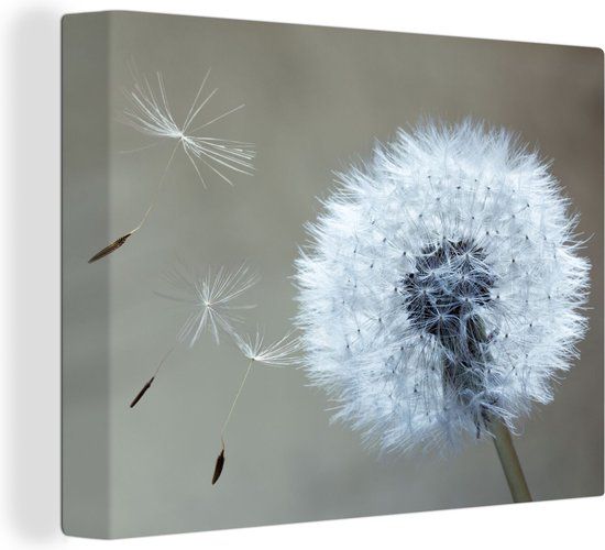 OneMillionCanvasses Canvas schilderij 160x120 cm - Paardenbloem - Multicolor - Rechthoek