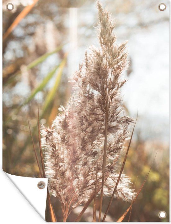 GreatGardenPosters Tuinposter Pampasgras Roze - 120x160 cm - Buitenposter