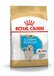 Royal Canin Breed Golden Retriever Junior - 12 kg