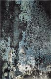 Safavieh Vloerkleed Ruby Blauw Polypropyleen 122 x 183 cm