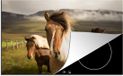 Merkloos KitchenYeah® Inductie beschermer 77x51 cm - Paarden - Dieren - Gras - Inductie kookplaat accessoire