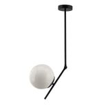 Theluz 996/20NR Plafondlamp Zwart LED E27 20W