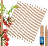 MK TRADING Michał Kotarba Kotarbau Houten Plantensteun 100 CM