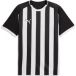 teamLIGA26 Puma Team Liga26 Gestreepte Jersey