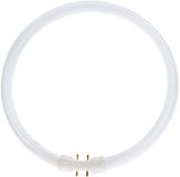 Osram Lumilux T5 Circulair FC 22W - 830 Warm Wit | 23cm