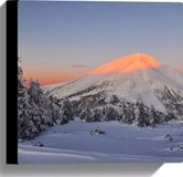 Merkloos / Sans marque Canvas Bergen Zonlicht Sneeuw Bomen Winter 30x30 cm Foto op Canvas Schilderij