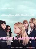 Plaion Big Little Lies [5DVD]