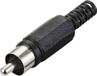 Tru Components TC-10336008 Cinch-connector fiche, recht zwart 1 stuk(s)