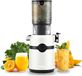 Extracteur de jus lent 1 L pour fruits et légumes XL 108 mm sans BPA