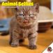 Dayplanner Dieren Selfies Kalender 2027