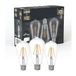 EGLO set van 3 filament led lampen met E27 fitting | Edison vintage gloeilampen helder, 4 watt per stuk, warm witte lichtbron, 2700 K, 470 lumen, retro lampjes ST64, Ø 6,4 cm