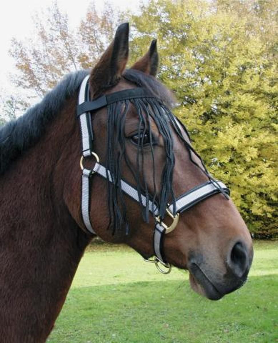 Holland Animal Care Vliegenfrontriem Paard Pony - Halster