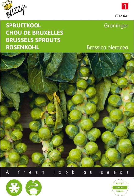 Buzzy® Spruitkool Groninger