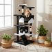 belviona Poteau griffoir pour chat, 130 cm avec maisons, escalier & balles de jeu, noir/blanc