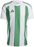 adidas teamwear adidas T-shirt Heren Striped 24 Jersey Wit-Groen - Maat S