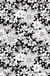 Publish Her Journal Black and White Floral