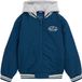 WE Fashion Jongens bomberjack met embroidery en capuchon van sweatstof