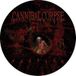 Cannibal Corpse Torture LP Picture Disc