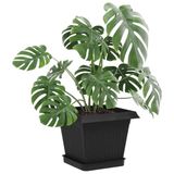 vidaXL Plantenpotten 24 st Zwart Kunststof
