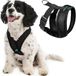 Gooby Comfort X Head-in Harnas Anti-trektuigje voor Honden - Gepatenteerd Anti-wurg X-frame voor Middelgrote en Kleine Honden, Binnen en Buiten - Zwart