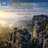 Outhere Naxos Rodney Dorsey - Beethoven: Chamber Music (2 CD)