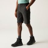 Regatta Short Hiking Heren Ademend Lichtgewicht
