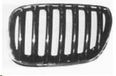 PRASCO Kühlergitter BM8202024 vorne links | Compatibel met: BMW X5