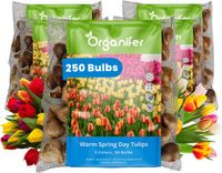 Organifer Tulpenbollen - 250 Bloembollen - Warm Spring Day - Apeldoorn Mix Geel Oranje Rood