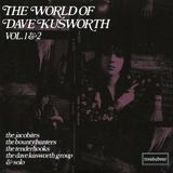 Suburban Troubadour World Of Dave Kusworth