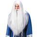 "Wizard Widmann Wizard Wig with Maxi Beard & Moustache