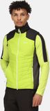 Regatta Halton VI wandelbodywarmer voor dames, groen, maat XXL