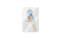 PUPA Milano Pupa Parrot Make-up Kit 003 Rio