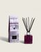 Maison Berger Paris 006655 Reed Aroma Diffuser Glass Black, Purple, Transparent 0.125 L